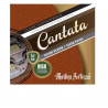 copy of Encordado para Guitarra Clasica - Cantata - 640 Light