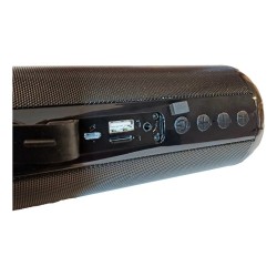 Parlante Portátil Bluetooth Radio Fm Usb Tf Auxiliar Neg