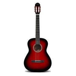 Guitarra Clasica Texas - Cg 40 Rds