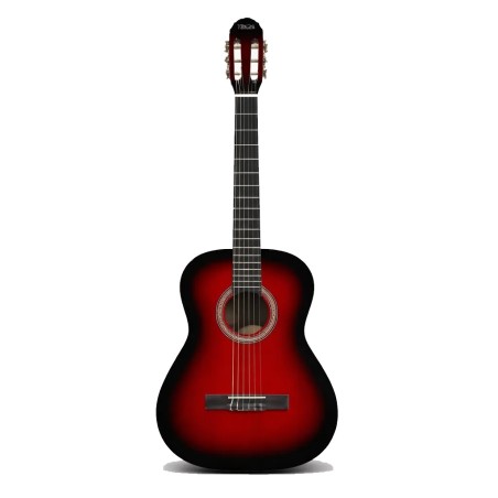 Guitarra Clasica Texas - Cg 40 Rds